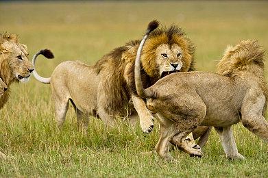 《死亡回归》开发商暗示将公布新消息 或是推出改编漫画