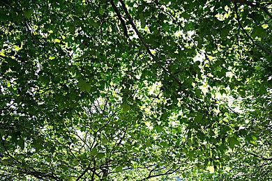 拳头公司成立西雅图工作室 主要负责维护《无畏契约》