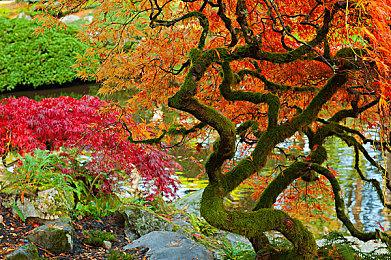 即时战略生存游戏《异源冲突》Steam页面 发售日待定